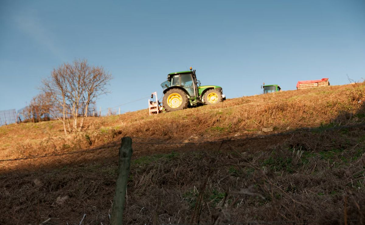 A tractor working a steep côtil in St Mary, Jersey, Channel Islands, on a clear winter day.